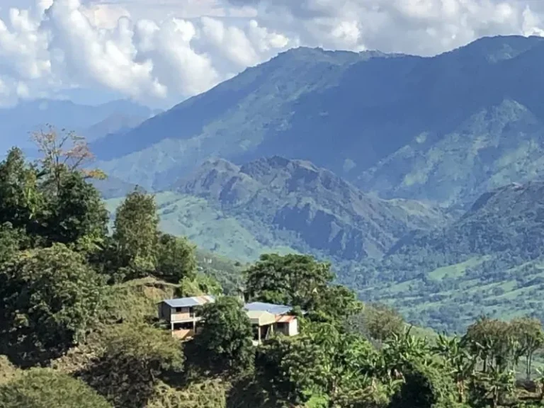 Columbian Coffee Farm